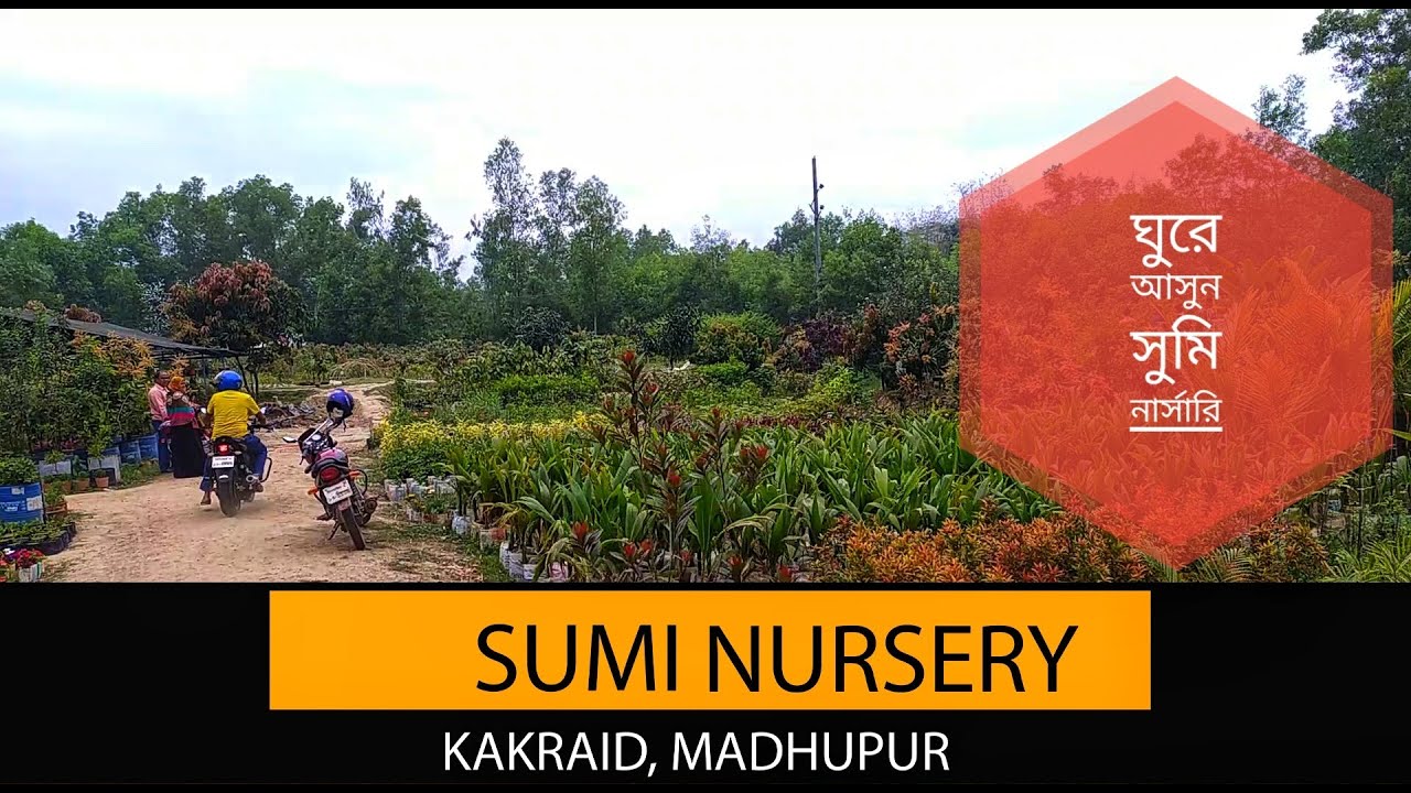 ঘুরে আসুন মধুপুরের সর্ববৃহৎ নার্সারি । Biggest Nursery in Madhupur, Tangail