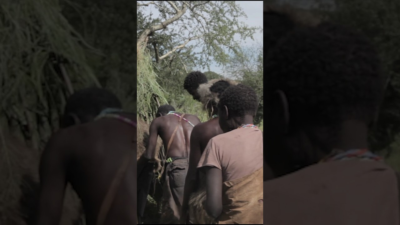 Small House 🏠🏡🏠 #musica #rap #hiphopdance #africanrap #music #newmusic #africanrhythms #musicgenre