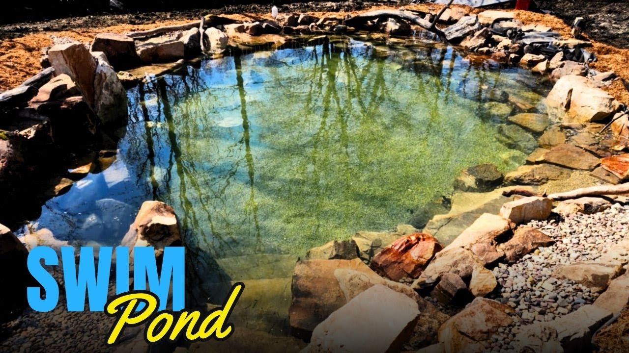 Watch This Backyard Transform into a Stunning Swim Pond!