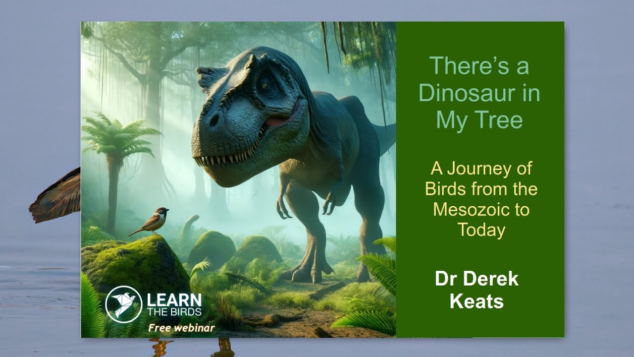 There’s a Dinosaur in My Tree: A Journey of Birds from the Mesozoic to Today