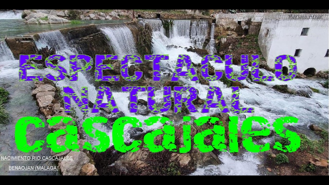 Nacimiento Cascajales 2026