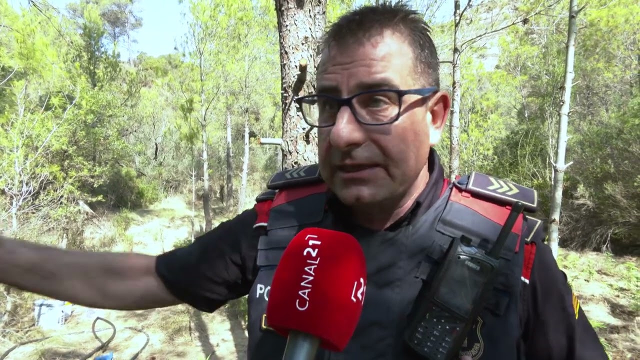 Acompanyem els Mossos d’Esquadra a desmantellar una plantació de marihuana a la Terra Alta