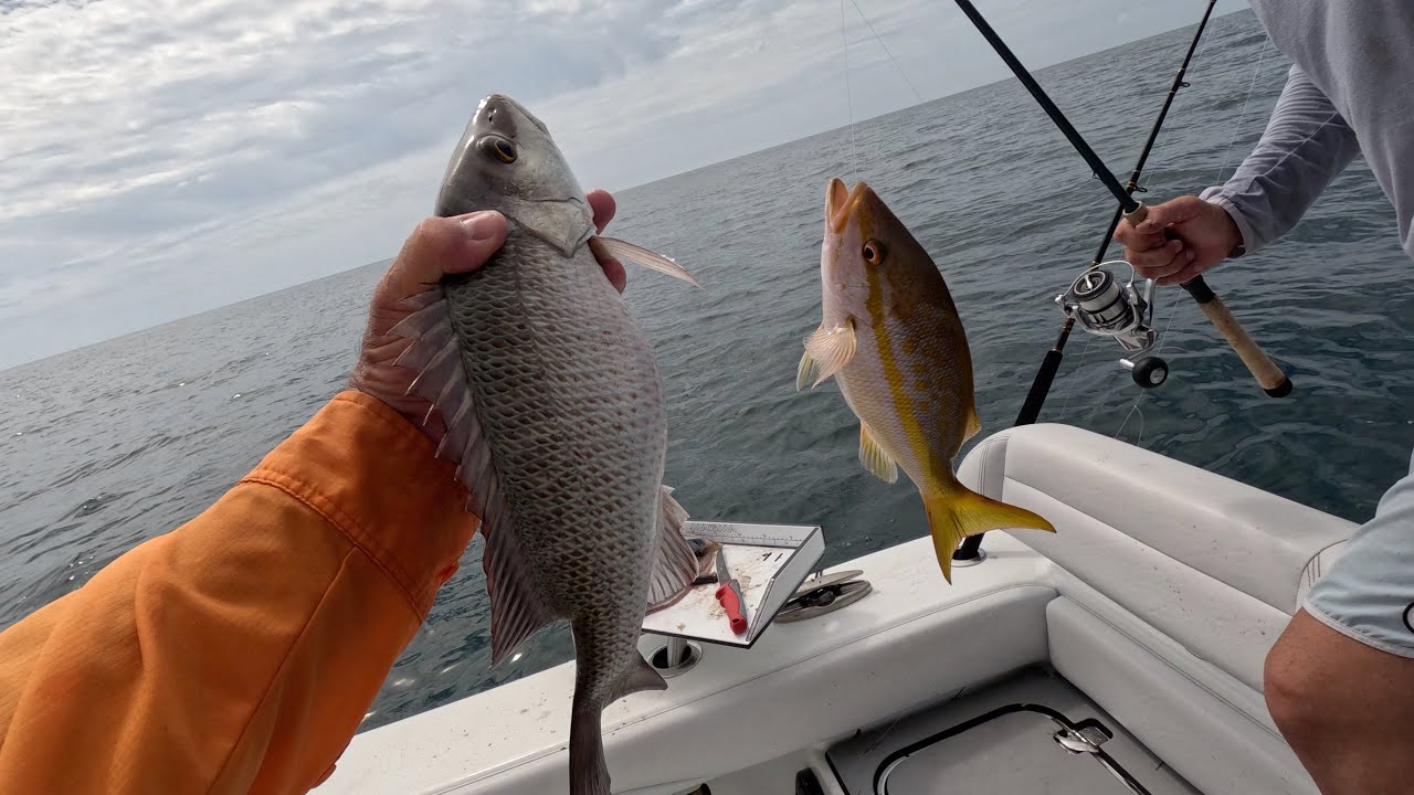 Snapper fishing in Ft Myers Florida