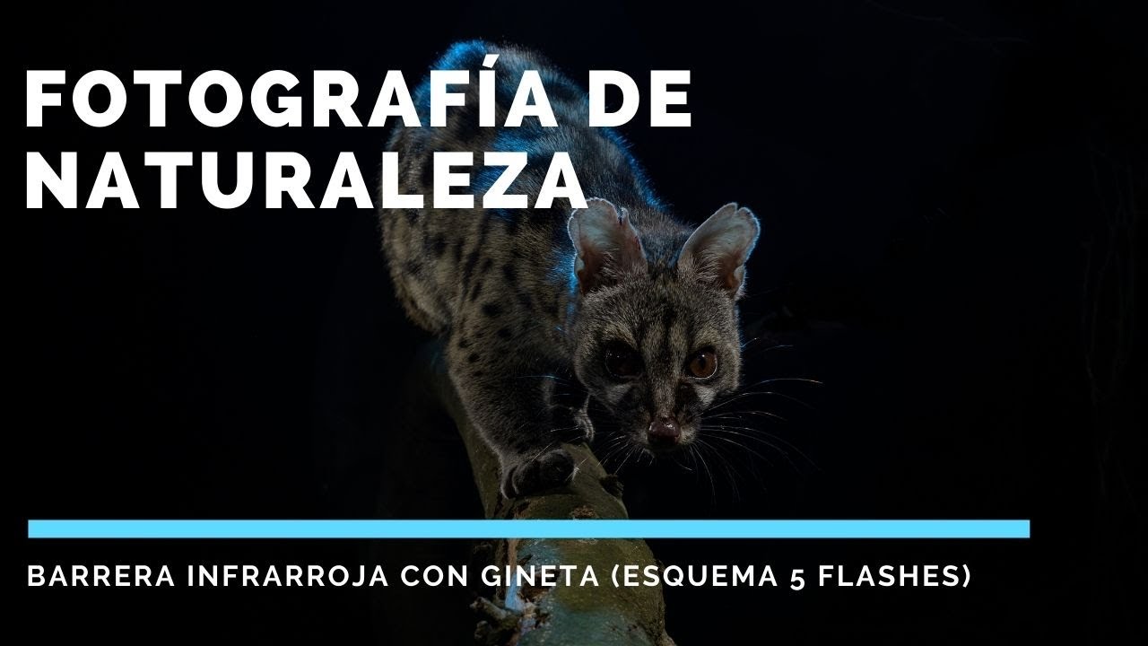 📸  Barrera Infrarroja ARLU con GINETA. ESQUEMA ILUMINACION 5 FLASHES 🌍
