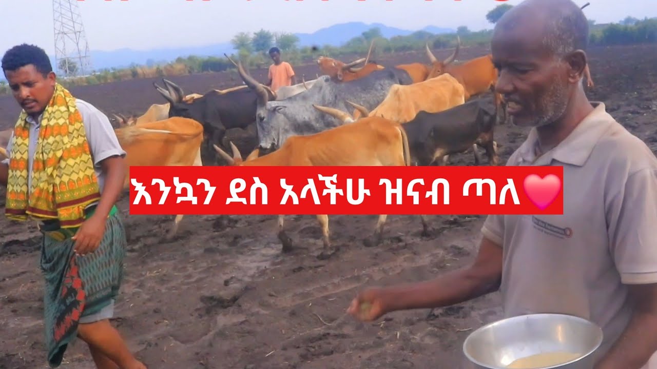 እንኳን ደስ አላችሁ ዝናብ ጥሎ ዘር ከገበሬው ጋር ስንዘራ ውለናል! በቅንነት ሸር ሸር አድርጉት 
