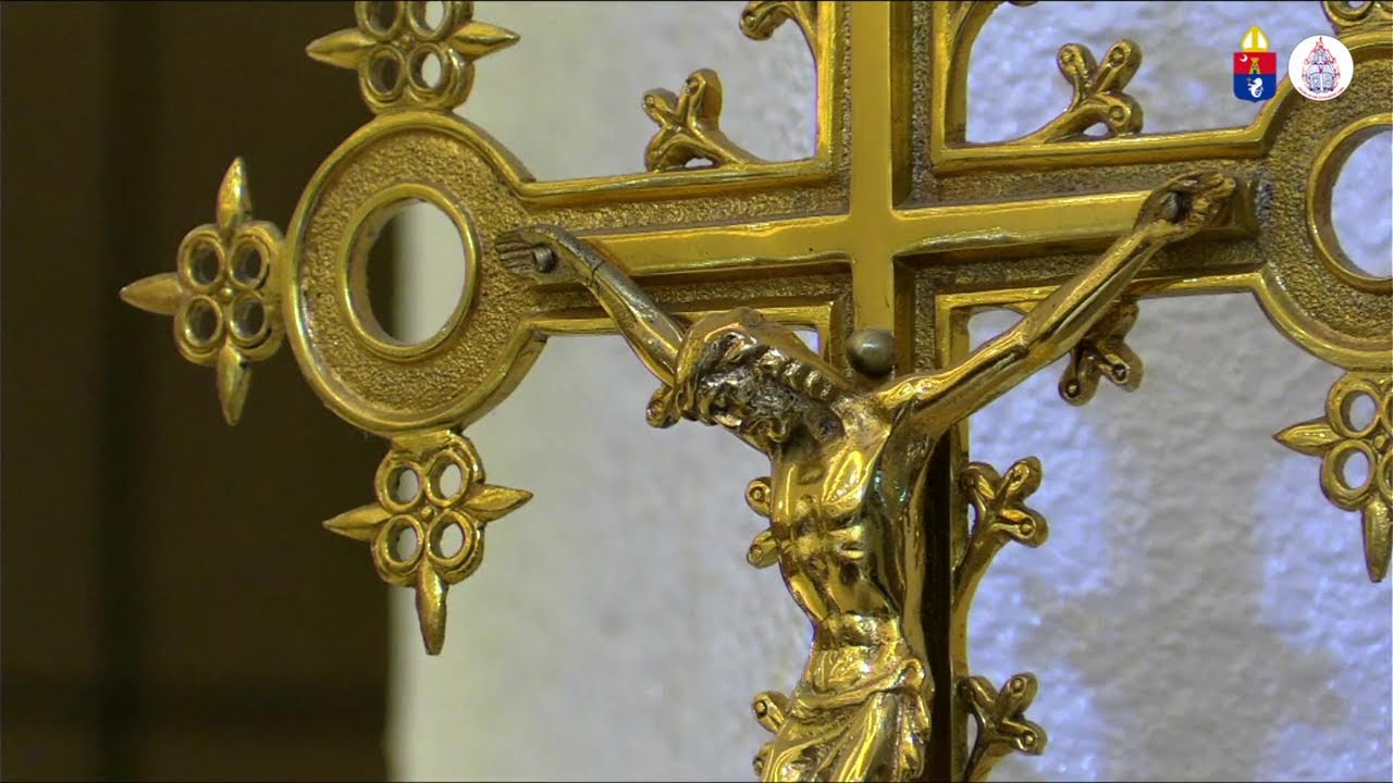 February 8, 2026 | 5th Sunday in Ordinary Time