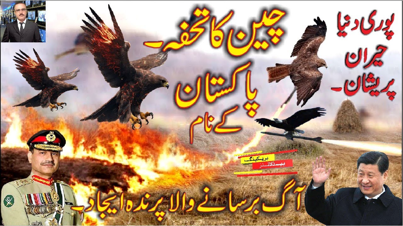 PAK China |  Pakistan Military Drone Birds | Pakistan Drone Power | UKO