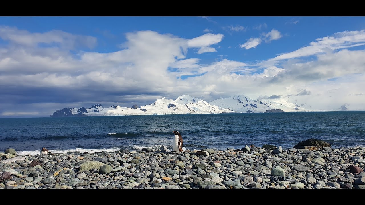 Antarctica aboard the Greg Mortimer