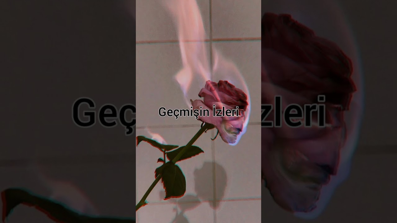 Geçmişin İzleri | Cedric Diggory İle Hayal Et | 2. Sezon 5. Bölüm