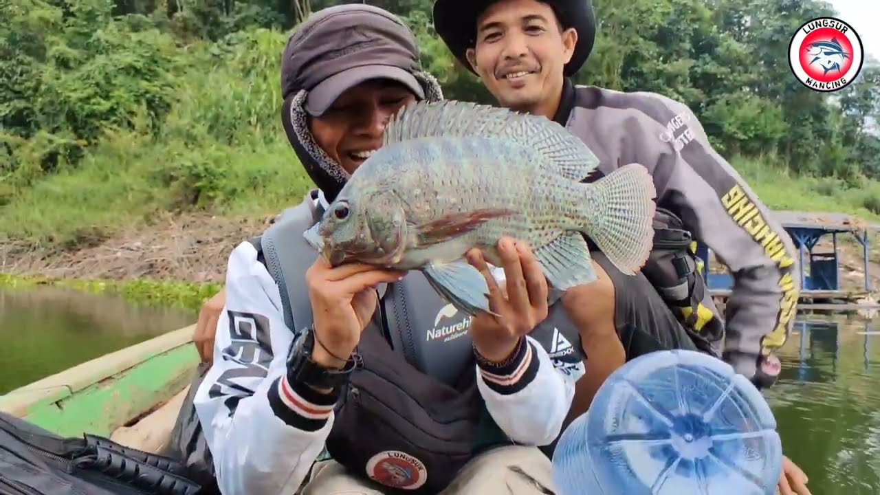 EDAN .😱!! BANYAK SEKALI IKAN GURAME RAWA DI SINI || mancing mania Cirata hari ini bersama ayah