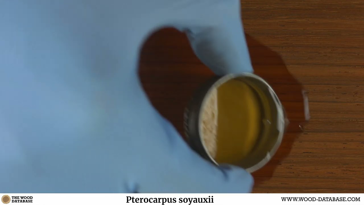 African Padauk (Pterocarpus soyauxii)