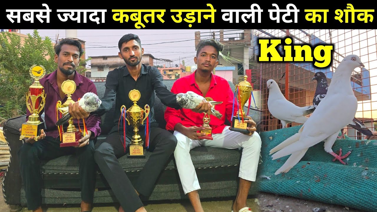 Sabse Jayada Kabootar Udne Wali Peti Ka Shauk 😲