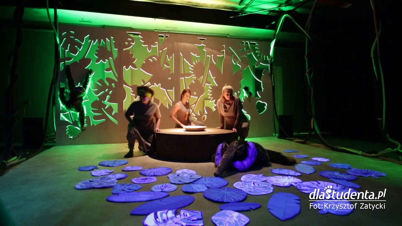 03.04.2018 Wrocław: Teatr Lalek - Dżungla