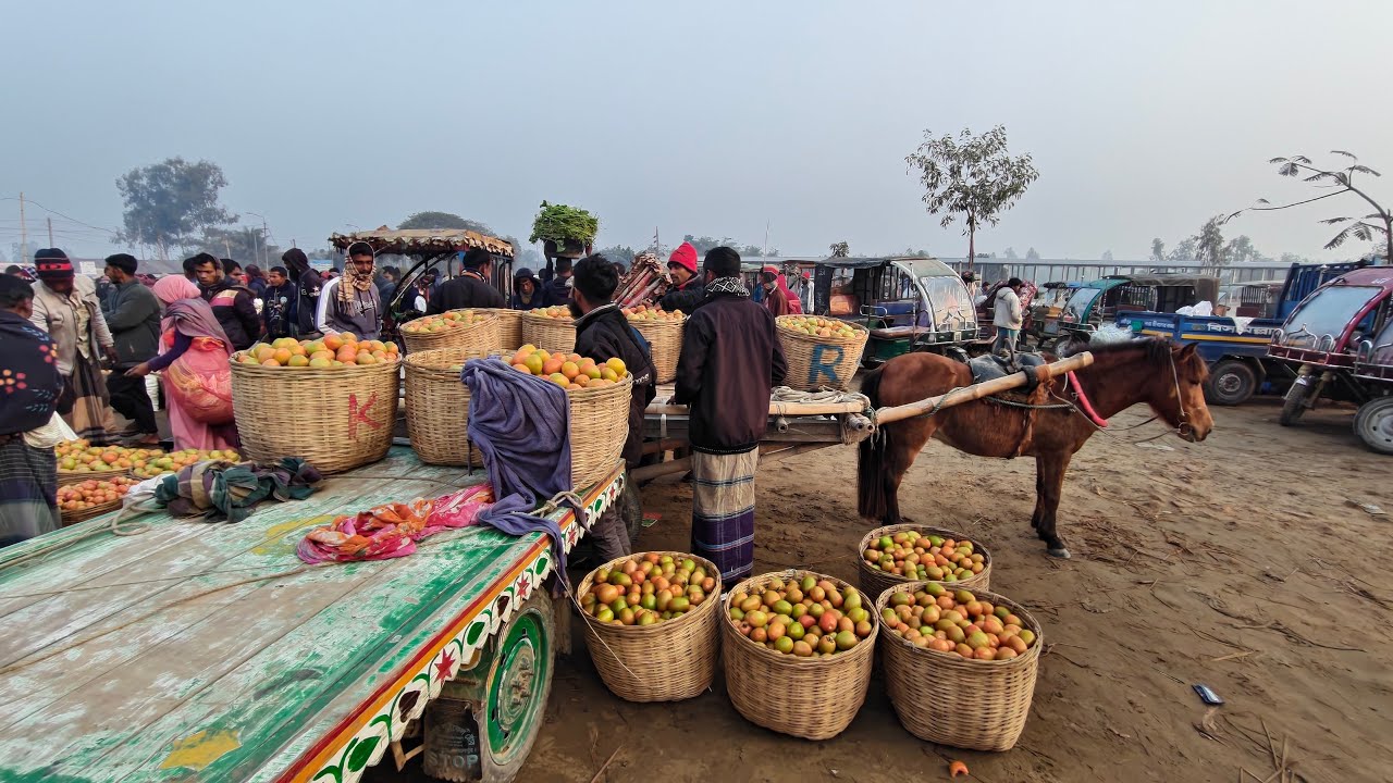 Hat Bazar is live! সাতপাকিয়া ফেরিঘাট বাজার, শেরপুর সদর, শেরপুর