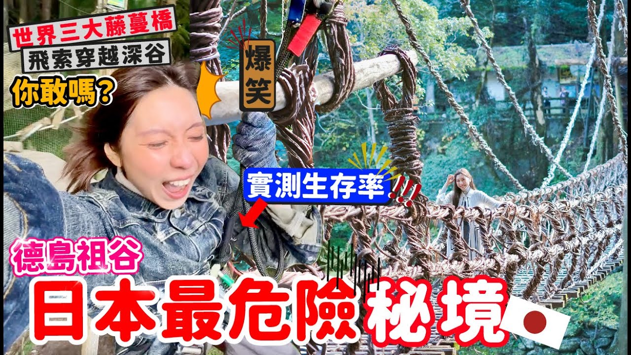 🔥【日本最危險秘境！德島祖谷藤蔓橋實測生存率】飛索穿越深谷你敢嗎？🇯🇵【阿陳AliLife】