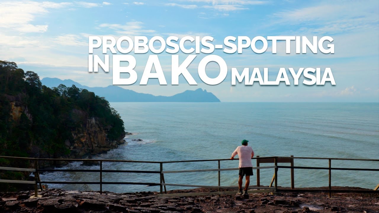 Inside Malaysia&rsquo;s Rainforest - Relaxing Trekking for 3 days in Bako National Park, Borneo