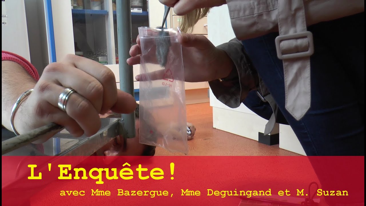L'enquête!