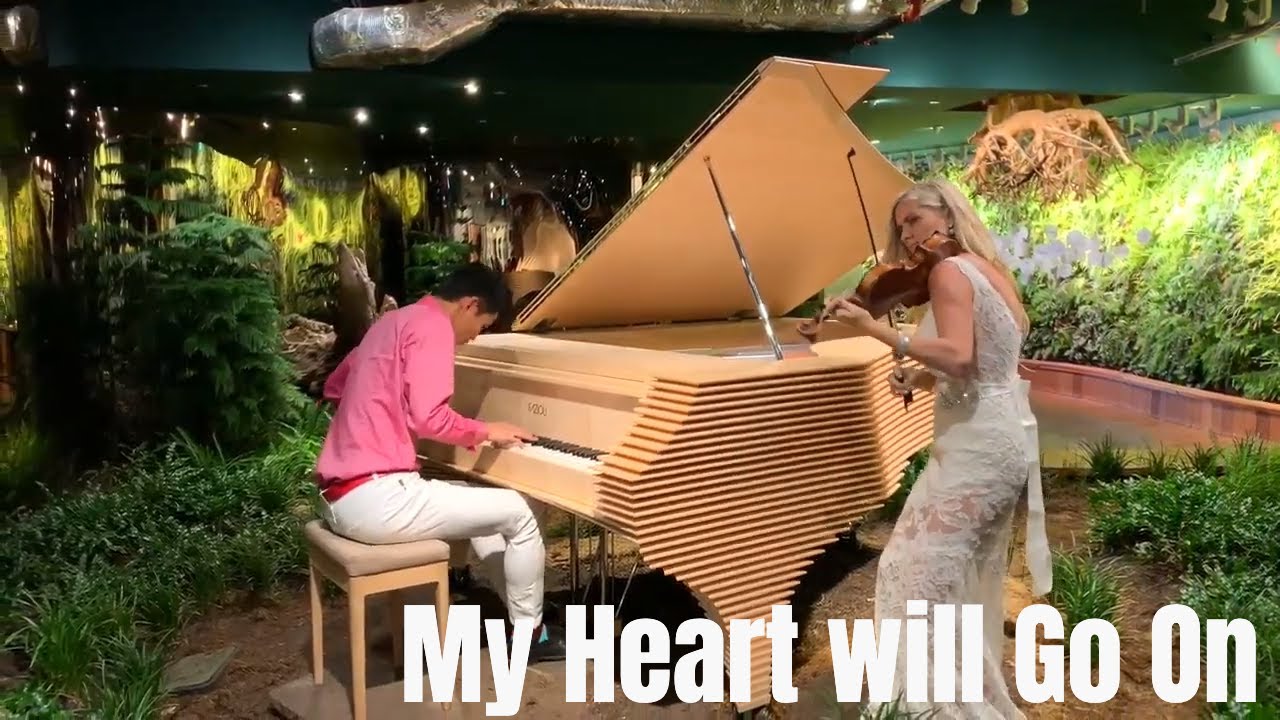 My Heart Will Go On | Titanic | Piano Violin by Roy & Rosemary