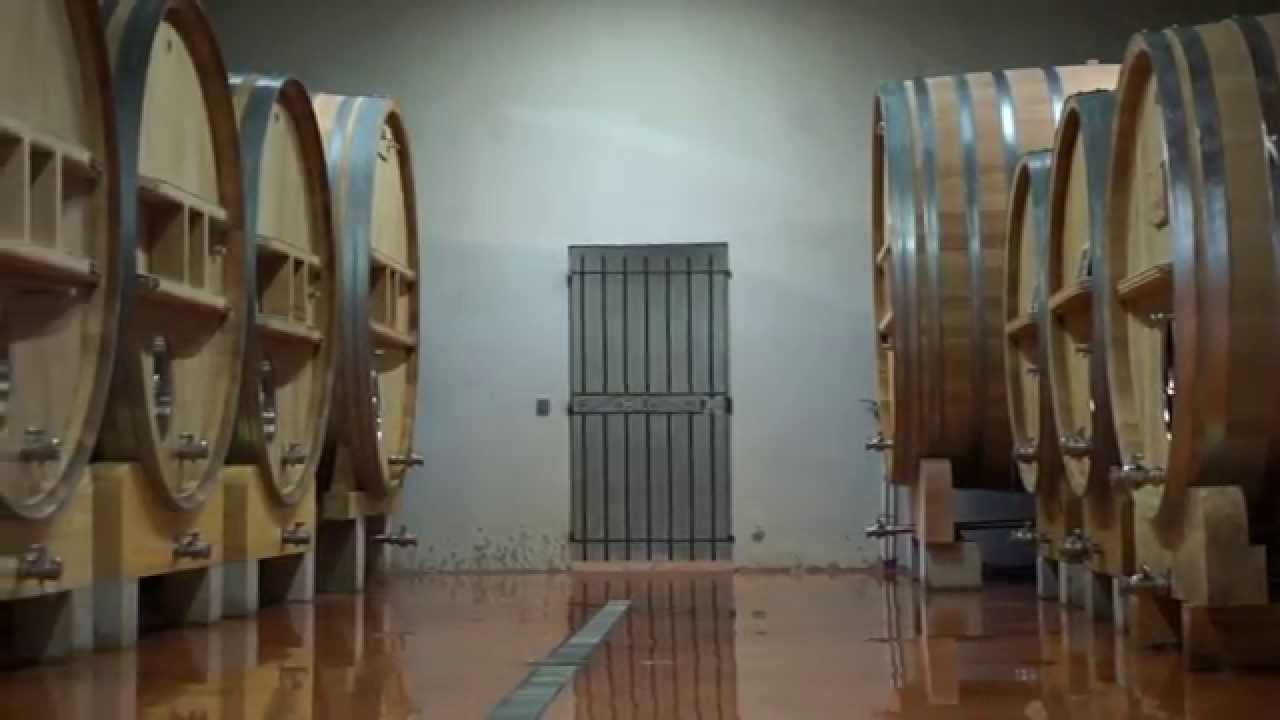 Vendanges 2015
