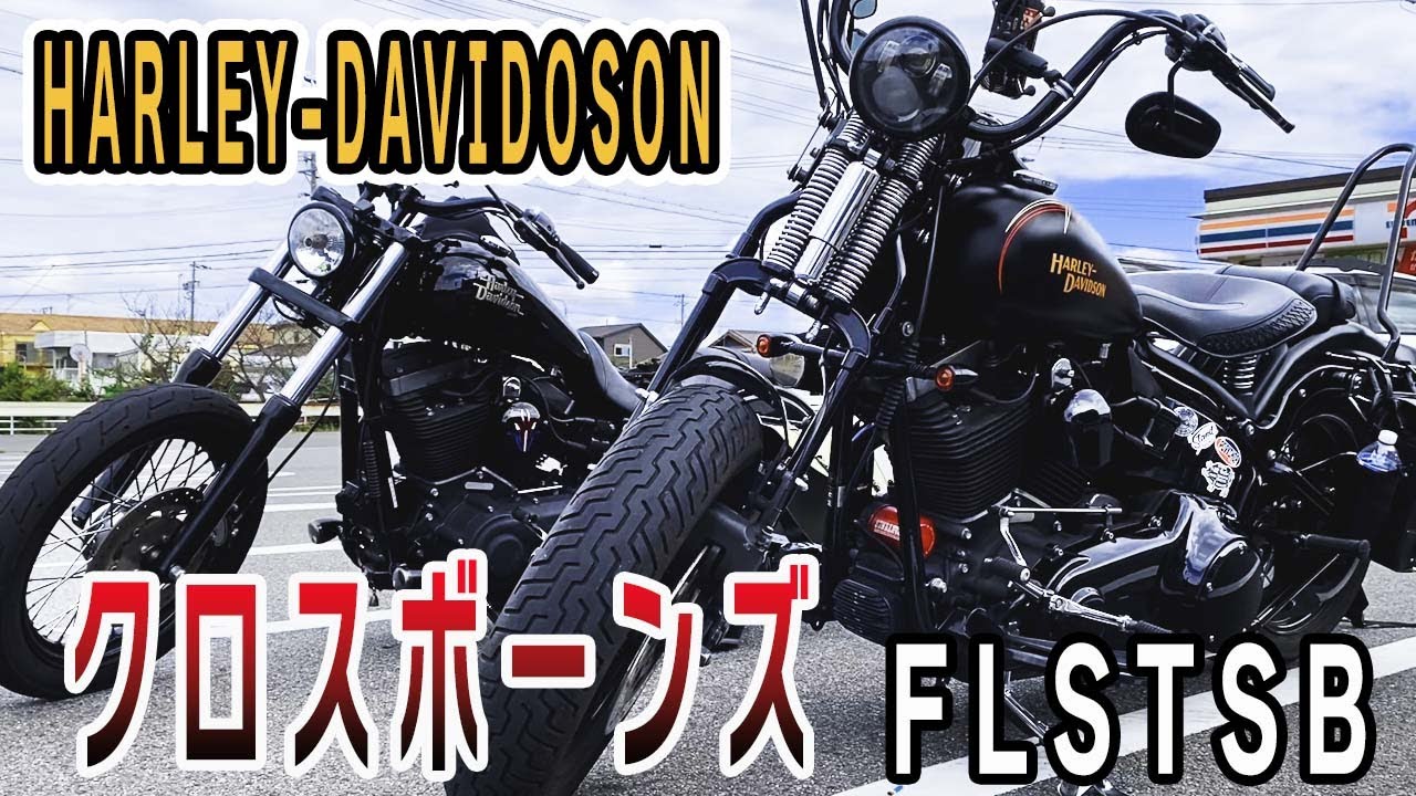 【希少ハーレー】1分半でクロスボーンズの魅力、カスタムを教えます！