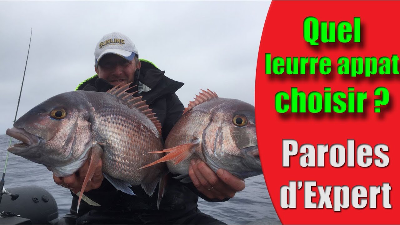 TOP 5 des MEILLEURS LEURRES APPÂTS pour la pêche en mer.