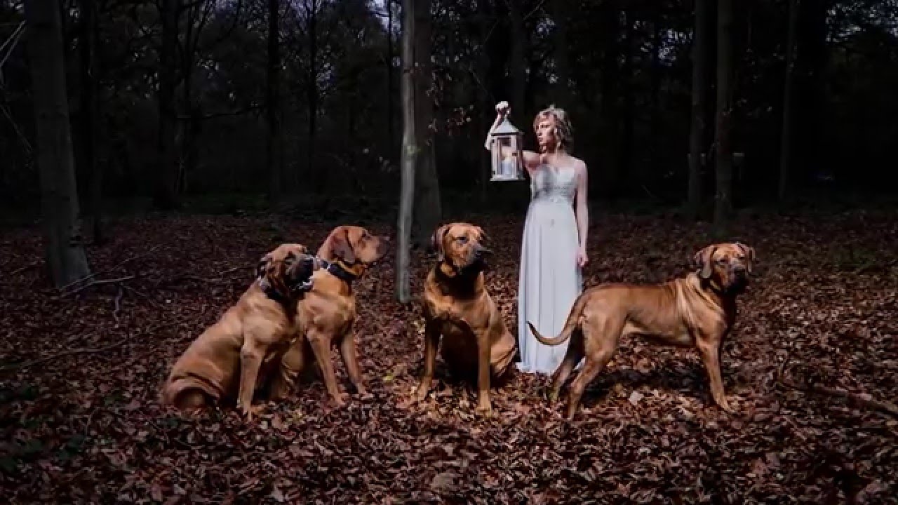 Behind the Scenes - strobist - 
