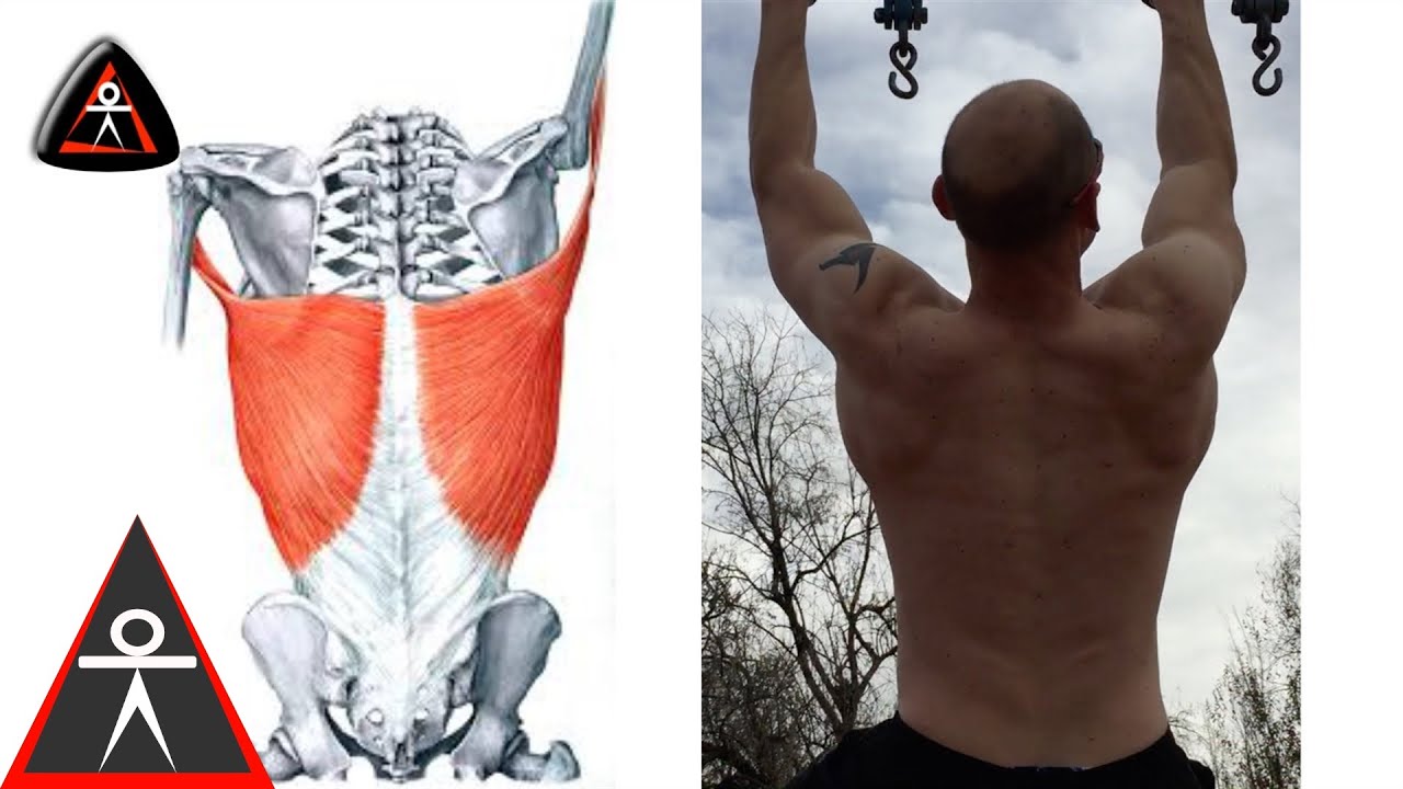 Use Your Lats To Build More Muscle