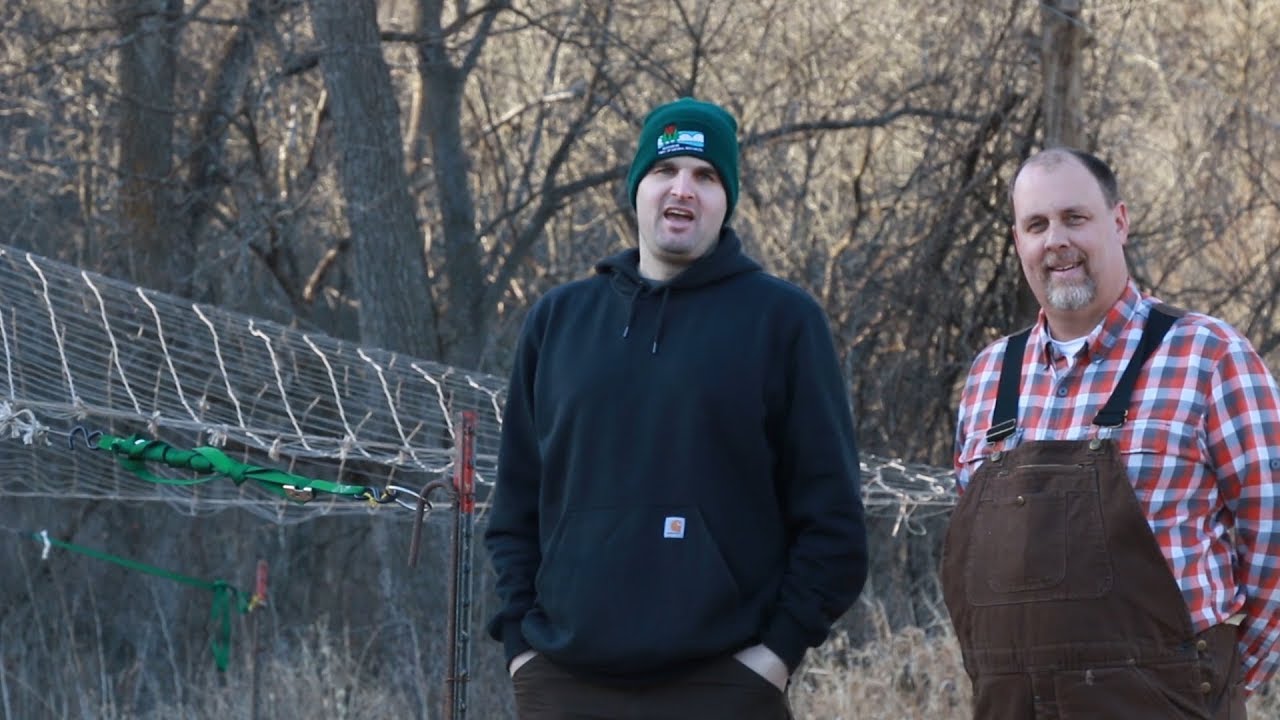 Trapping Deer - Drop Net