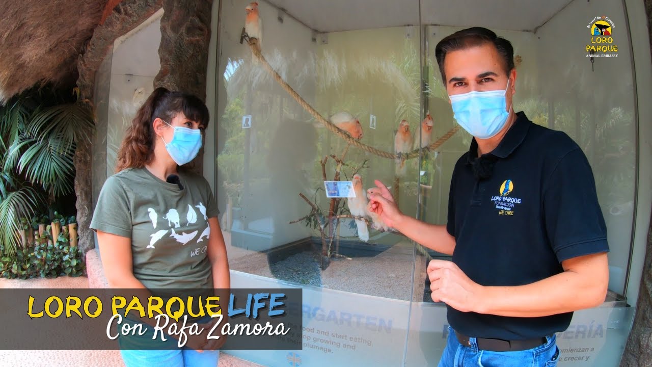 Max Planck Institute - S02E07 Loro Parque LIFE