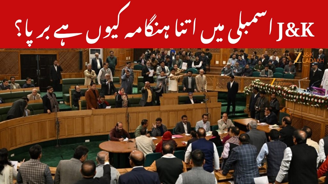 High Drama in J&K Assembly : Chaos in J&K Assembly as BJP-Congress Clash Over NLU Issue | ZEE JKL