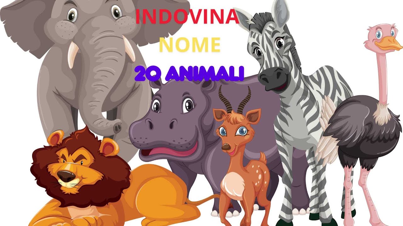 Quiz indovina nome 20 animali