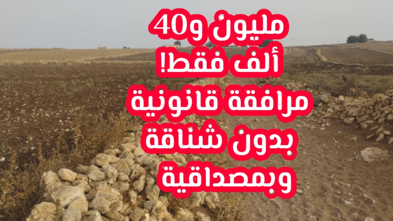 فرصة ذهبية فـ نواحي الجديدة! أرض محفظة بـ 4 هكتارات وخدمة شاملة حتى بعد الشراء