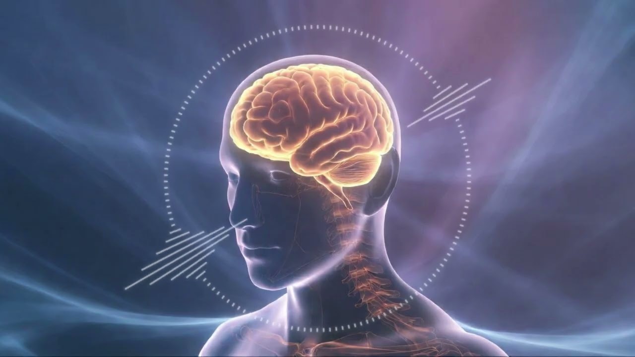 Alpha Brainwave Piano – Relaxed Learning Music for Brain Development | 10Hz Binaural Beats