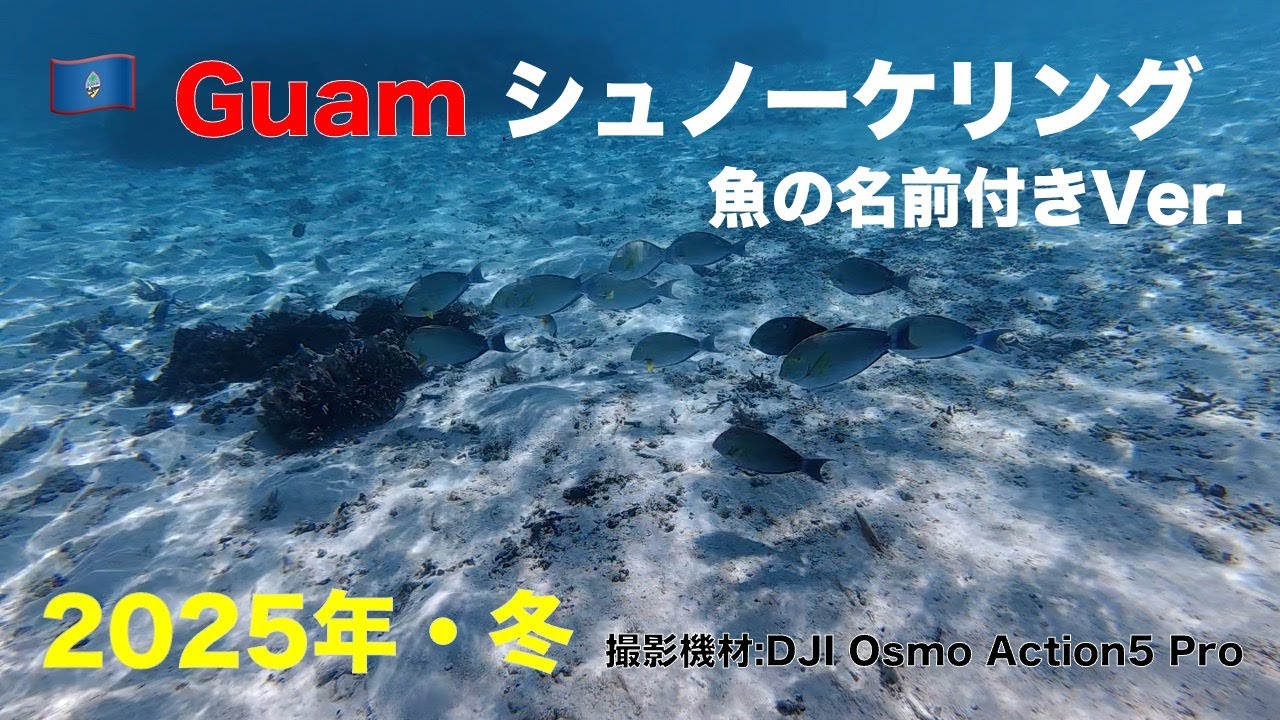 【グアム】ビーチエントリー100m以内でシュノーケリング｜魚の名前付き｜2025年年末｜PIC前ビーチ〜イパオビーチ｜DJI Osmo Action5 Pro｜子連れで撮影