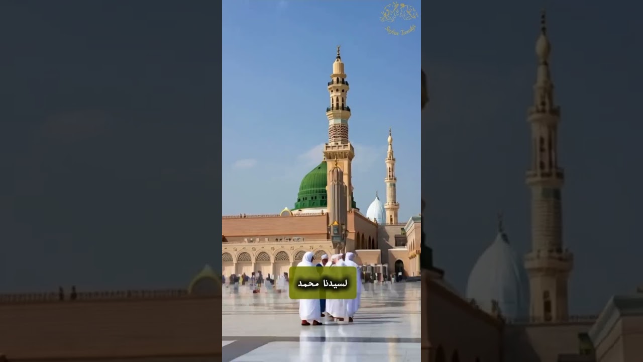 الحلقة السابعةمن برنامج 
