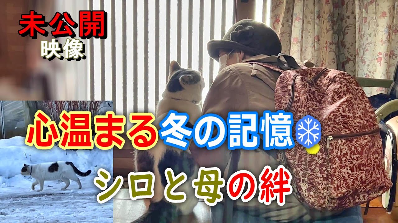 【未公開映像】感動のラストシーン：母のデイサービスとシロが見せた驚きの行動【オリジナルBGM】