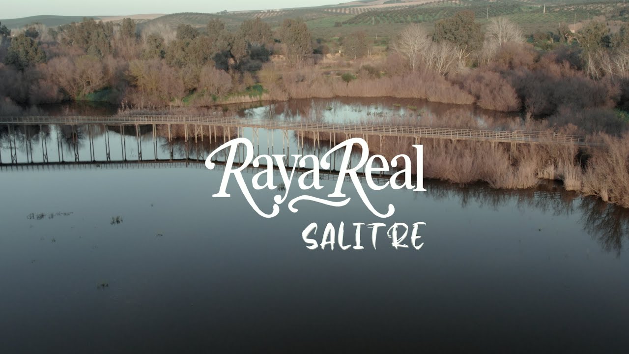 Raya Real - Salitre (Videoclip Oficial)