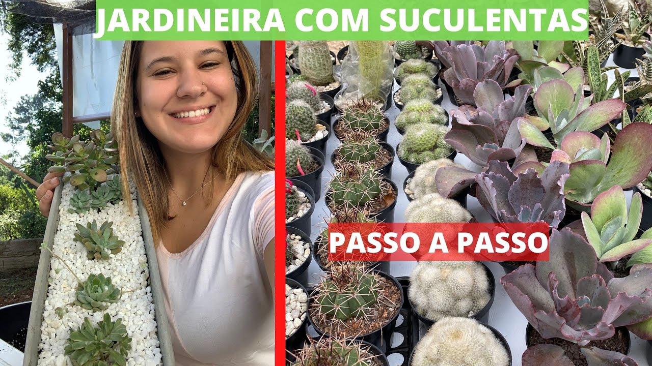 Uma linda JARDINEIRA de SUCULENTAS - Passo a Passo - RECANTO DOS CACTOS