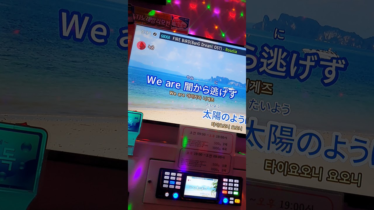Roselia - Firebird 를 불러 보았습니다 (karaoke cover)