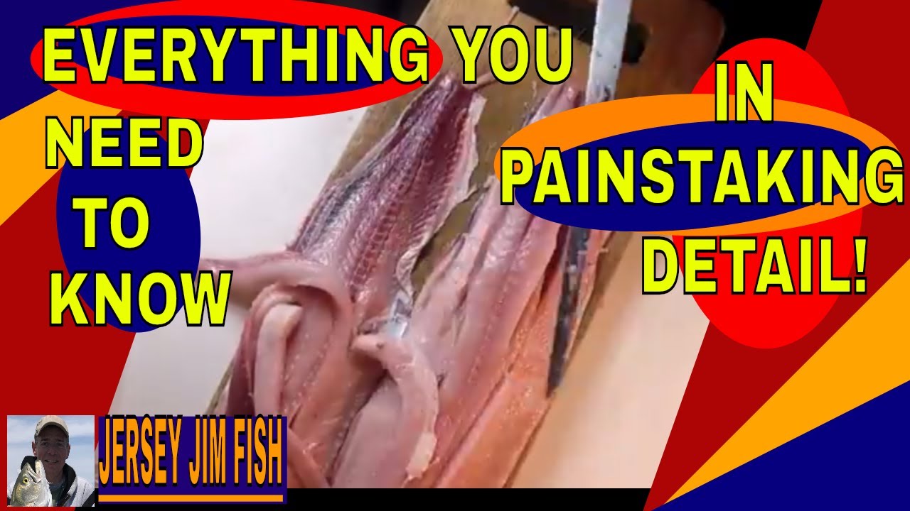 BONELESS SHAD FILLET/EVERYTHING YOU NEED TO KNOW