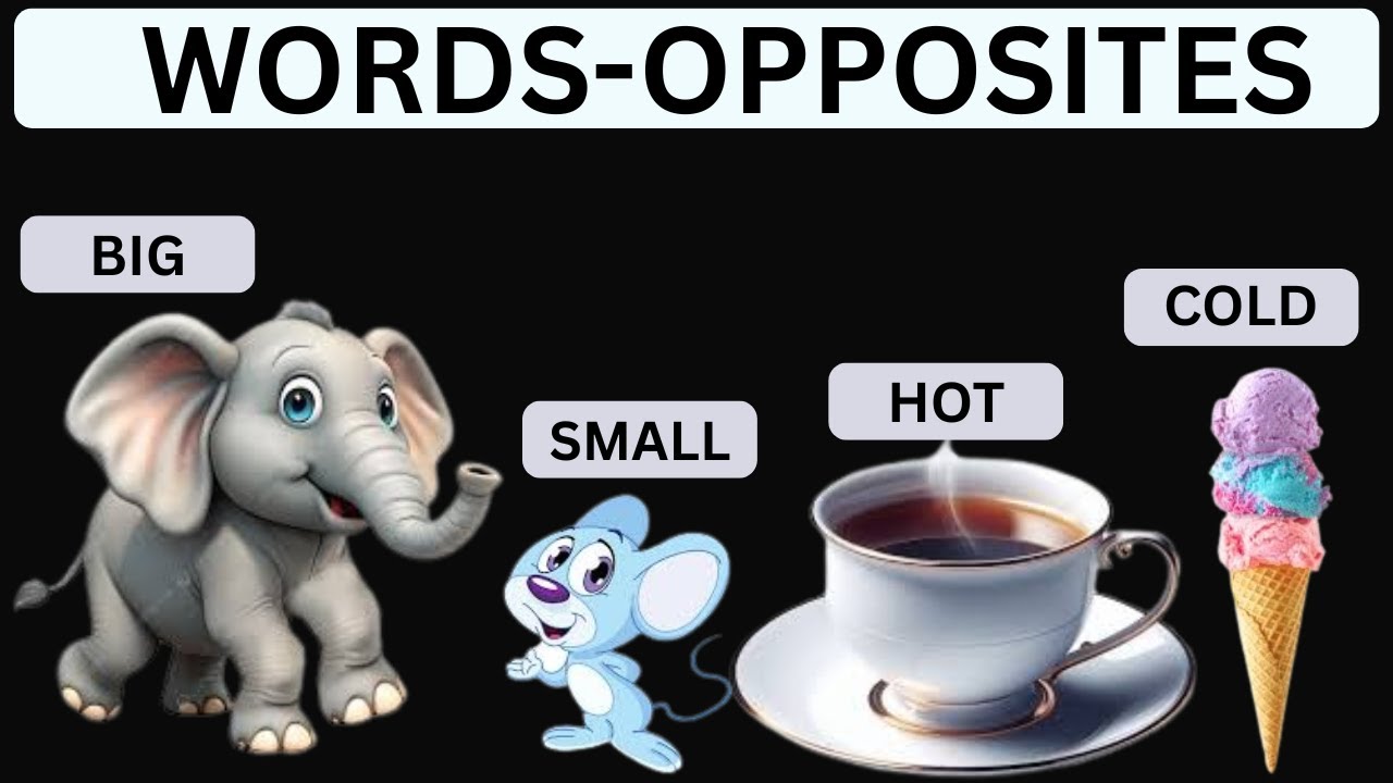 Opposites for Kids | Learn Opposites | KK Smart Kids | Educational Video