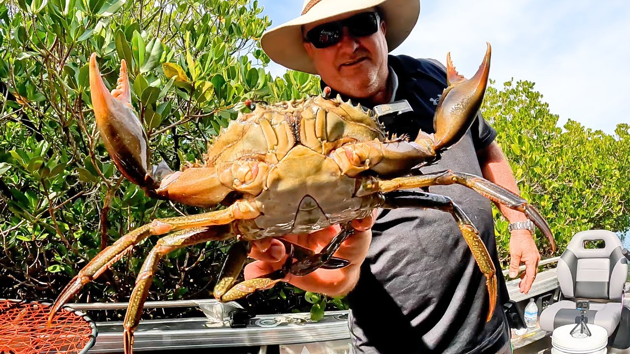 Australia at Its Best: Crabbing and Gear Review Adventure