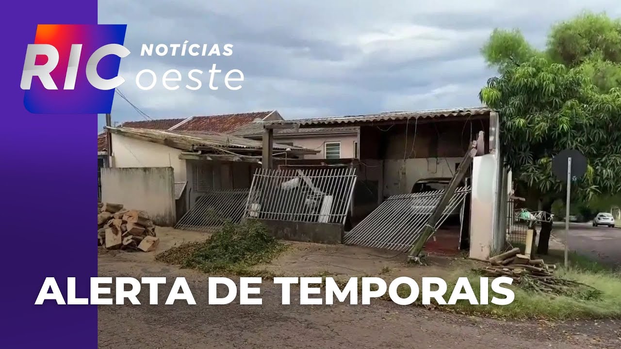 Tempestade no Paraná: árvore cai e atinge portão e telhado de casa em Cascavel