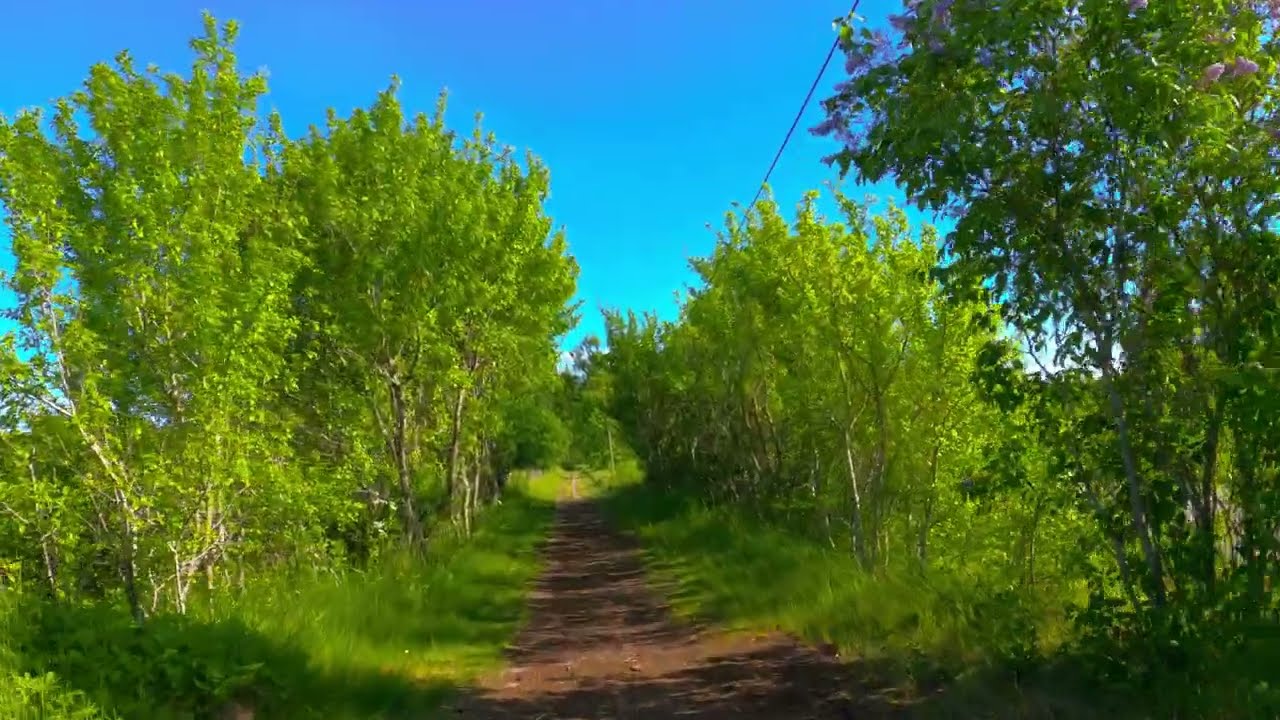 Загородный велотур по природе. Швеция