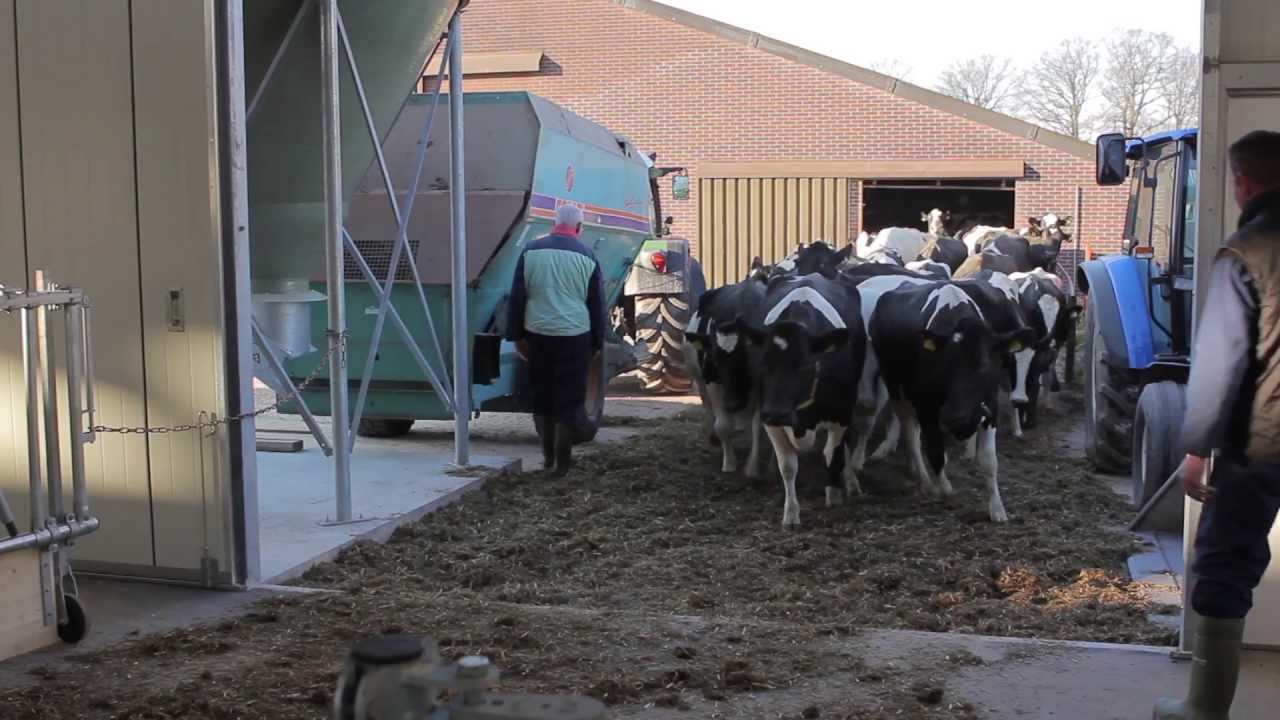Bouwbedrijf Cox -  Nieuwe Koeienstal Nederweert