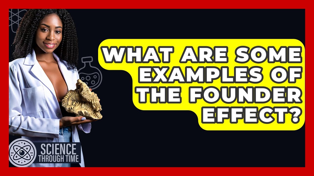 What Are Some Examples Of The Founder Effect? - Science Through Time