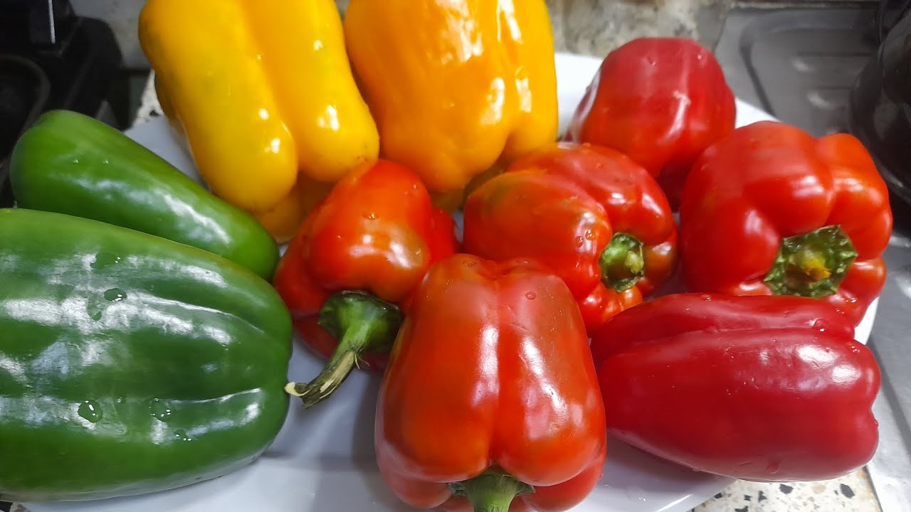 HOMEMADE POWER PEPPER PASTE ,GINGER/ GARLIC PASTE AND TOMATO PASTE