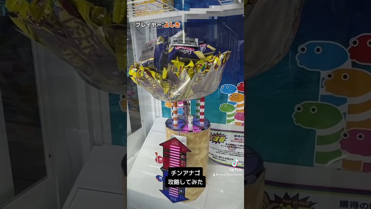 ゲーセンでよく見るチンアナGOを攻略してみた #クレーンゲーム #ゲームセンター #ufoキャッチャー #つるなか