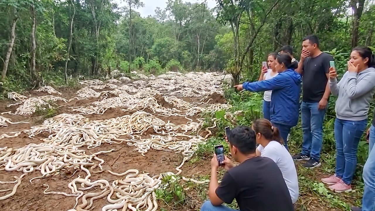 80 Strange Things Happening Right Now Around the World [Caught on Camera Edition]