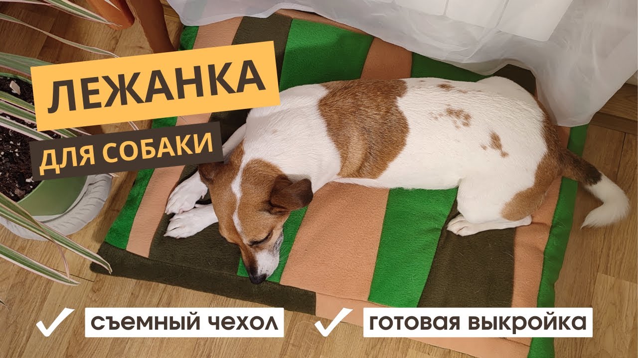 Как сшить лежанку для собаки своими руками. Выкройка лежанки.